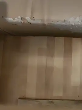 Snapshot of DarkNova9 chatting on October 2025 03:42:02 AM DarkNova9 online show from October 2025 03:42:02 AM