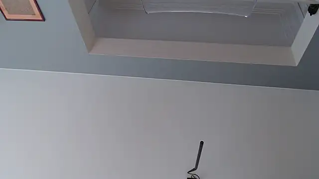 knodli online show from October 2025 11:55:02 AM