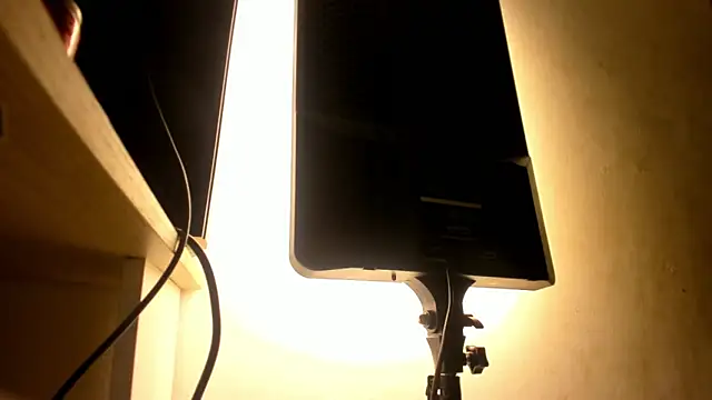 Snapshot of galactica_ chatting on October 2025 11:36:02 AM galactica online show from October 2025 11:36:02 AM