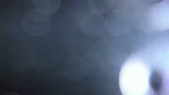 Luna Analya online show from February 2026 01:38:01 PM