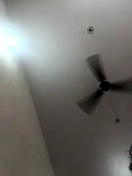 Appypie online show from October 2025 07:18:01 AM