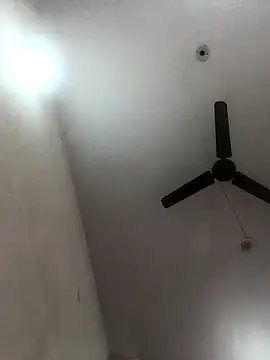 Appypie online show from November 2025 05:51:01 AM