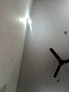 Appypie online show from November 2025 09:53:01 AM