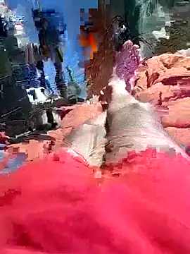 QJHoElyking online show from October 2025 03:27:01 AM