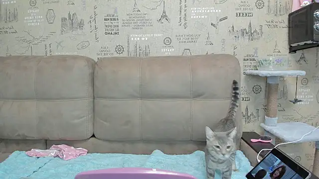 Kelly Gerzikaa online show from November 2025 01:41:02 AM