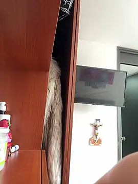 Isabellaa Palacios online show from April 2026 03:16:01 PM