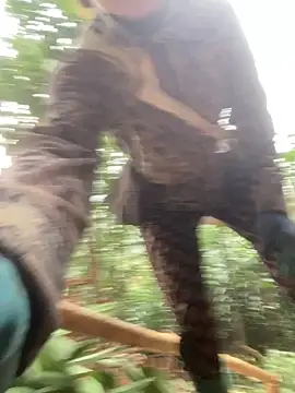 Pyy07 online show from March 2026 12:17:02 AM