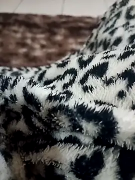 Snapshot of Gauderio40 chatting on November 2025 04:11:02 AM Gauderio40 online show from November 2025 04:11:02 AM