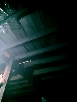 ngan-cute online show from March 2026 01:51:03 PM