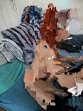 Snapshot of _Pipi_ chatting on February 2026 12:14:02 PM Pipi online show from February 2026 12:14:02 PM