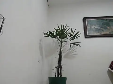 Young handsome online show from September 2025 01:28:02 AM