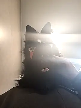 Wolf Okami SP online show from January 2026 02:01:02 PM