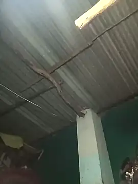 Hot-honi online show from September 2025 01:45:01 PM