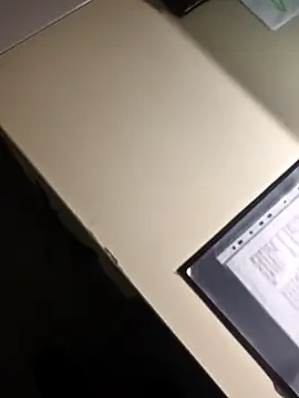 stunning stallion online show from February 2026 09:46:02 PM