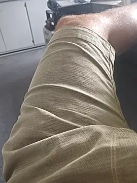 stunning stallion online show from April 2026 02:05:01 PM