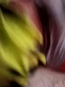 Zedopix123 online show from April 2026 03:42:02 PM