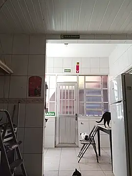 dinho carioca online show from February 2026 12:12:01 PM