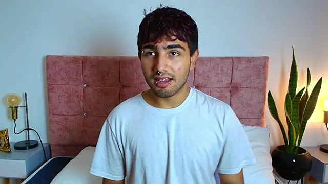 Ares Alpha online show from November 2025 06:53:02 PM