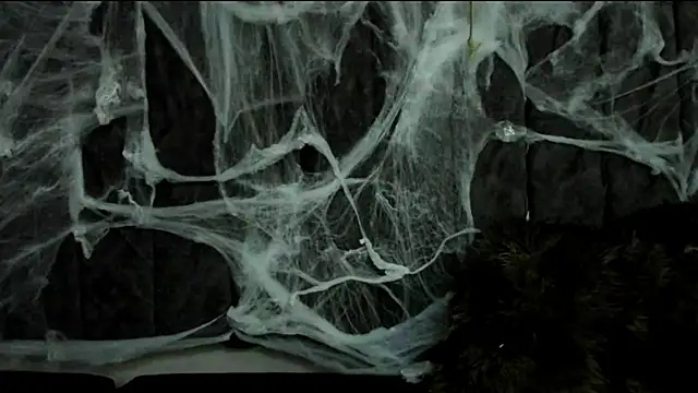 Snapshot of Rowan_Mills chatting on October 2025 08:19:02 PM Rowan Mills online show from October 2025 08:19:02 PM