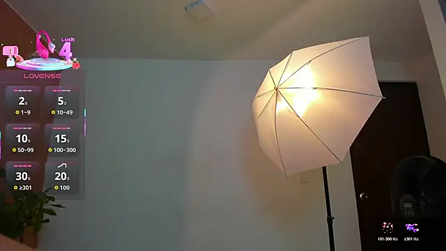  online show from December 2025 01:16:02 PM