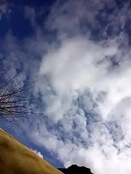 Snapshot of tcm-cute chatting on October 2025 03:06:02 AM tcm-cute online show from October 2025 03:06:02 AM