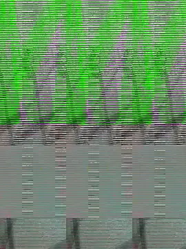 Payal950 online show from October 2025 01:33:02 PM