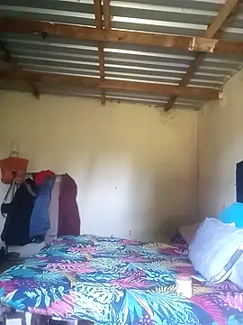 Curvycandy95 online show from December 2025 05:48:01 AM