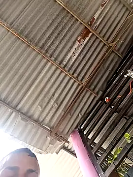 wwwww143 online show from November 2025 05:22:01 PM