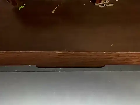 LustyDuoSecrets online show from April 2026 04:45:02 PM