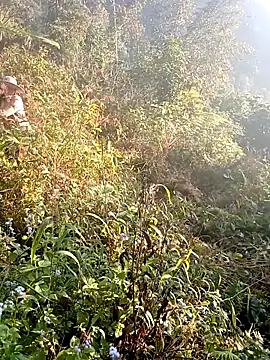 hera-00 online show from December 2025 01:12:02 AM