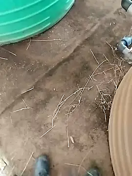 BigboyDick2 online show from October 2025 12:38:01 PM