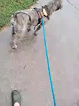 Snapshot of Unknownstepbrother chatting on October 2025 07:56:02 PM Unknownstepbrother online show from October 2025 07:56:02 PM