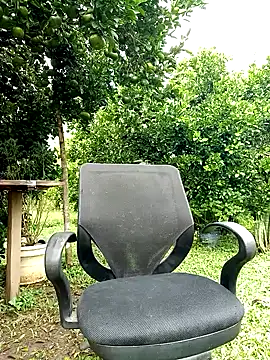 Snapshot of AlphaAlterX chatting on October 2025 01:32:01 PM AlphaAlterX online show from October 2025 01:32:01 PM