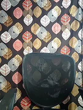 telugu pellam online show from February 2026 09:21:02 AM