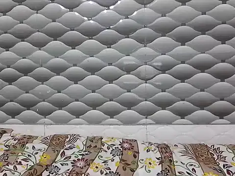 Jashika sharma online show from February 2026 10:31:01 AM