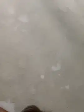 Doggy8668 online show from March 2026 07:42:01 PM