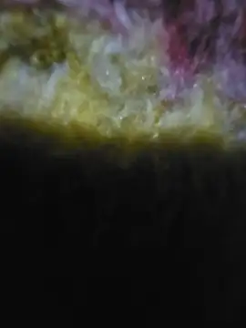 Bokihot online show from June 2026 12:04:01 AM