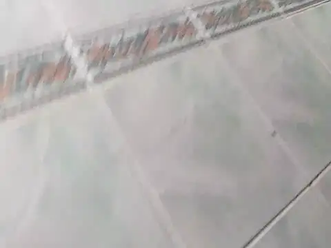 Snapshot of dogi909020 chatting on September 2025 03:39:02 AM dogi909020 online show from September 2025 03:39:02 AM