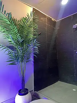 Tayler Kim online show from April 2026 06:56:01 PM