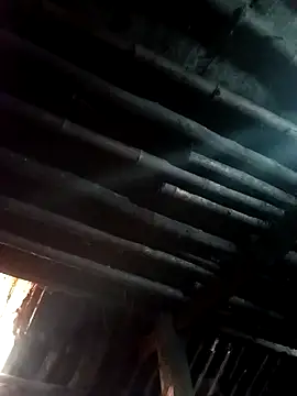 kihi-yo online show from November 2025 01:48:02 AM