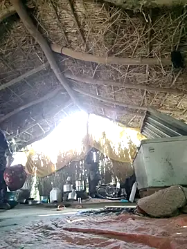 LUCKY cut online show from September 2025 11:21:01 AM