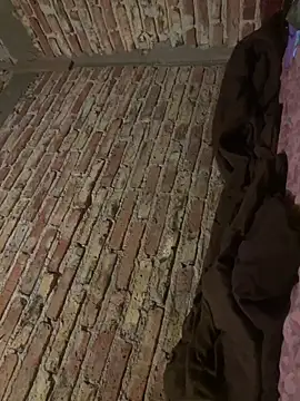 Snapshot of Efrain6996 chatting on March 2026 06:11:02 PM Efrain6996 online show from March 2026 06:11:02 PM