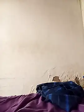 average price online show from December 2025 08:00:02 AM