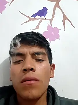 Snapshot of DavidVergagigante420 chatting on September 2025 05:18:02 AM DavidVergagigante420 online show from September 2025 05:18:02 AM