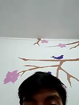 Snapshot of DavidVergagigante420 chatting on May 2026 06:41:01 AM DavidVergagigante420 online show from May 2026 06:41:01 AM