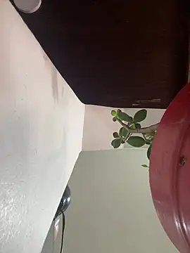 XBODTRIIPX online show from March 2026 04:10:02 PM