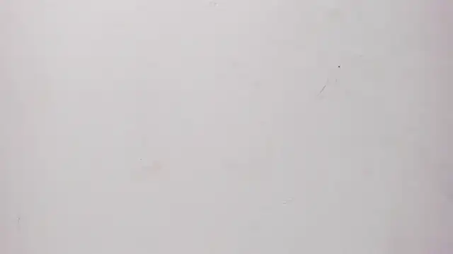 Snapshot of Sofia_summers chatting on November 2025 03:39:02 AM Sofia summers online show from November 2025 03:39:02 AM