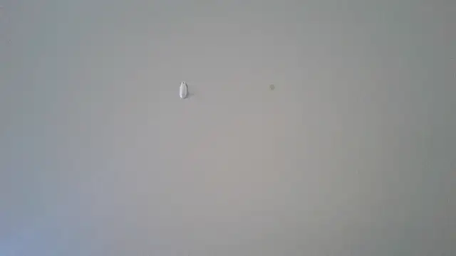 Snapshot of abimusic99 chatting on February 2026 07:45:01 PM abimusic99 online show from February 2026 07:45:01 PM