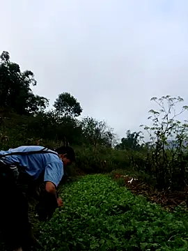 Snapshot of kemtuoi-sex chatting on October 2025 01:13:01 AM kemtuoi-sex online show from October 2025 01:13:01 AM