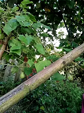 Snapshot of kemtuoi-sex chatting on October 2025 11:58:02 PM kemtuoi-sex online show from October 2025 11:58:02 PM